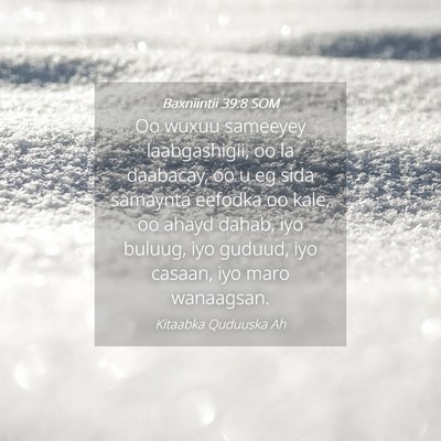 Picture 04 - Baxniintii 39:8 SOM - Oo wuxuu sameeyey laabgashigii, oo la daabacay, - Bible Verse Picture