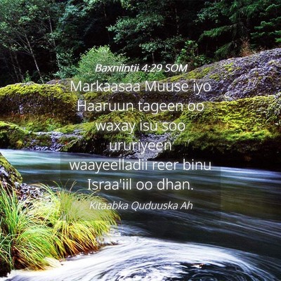 Picture 04 - Baxniintii 4:29 SOM - Markaasaa Muuse iyo Haaruun tageen oo waxay isu - Bible Verse Picture
