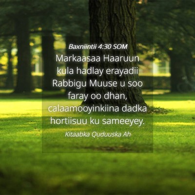 Picture 04 - Baxniintii 4:30 SOM - Markaasaa Haaruun kula hadlay erayadii Rabbigu - Bible Verse Picture
