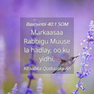 Picture 04 - Baxniintii 40:1 SOM - Markaasaa Rabbigu Muuse la hadlay, oo ku - Bible Verse Picture