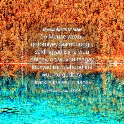 Picture 04 - Baxniintii 40:18 SOM - Oo Muuse wuxuu qotomiyey taambuuggii, - Bible Verse Picture