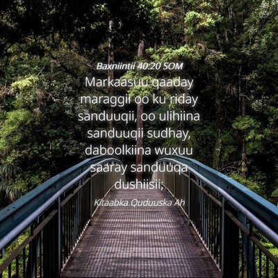 Picture 04 - Baxniintii 40:20 SOM - Markaasuu qaaday maraggii oo ku riday sanduuqii, - Bible Verse Picture