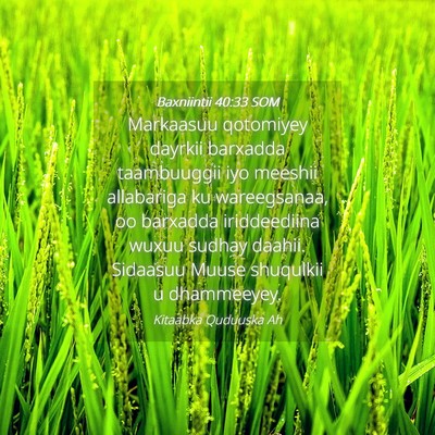 Picture 04 - Baxniintii 40:33 SOM - Markaasuu qotomiyey dayrkii barxadda taambuuggii - Bible Verse Picture