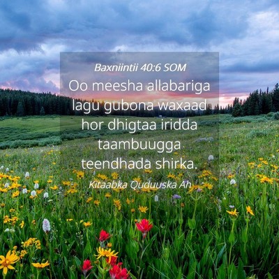 Picture 04 - Baxniintii 40:6 SOM - Oo meesha allabariga lagu gubona waxaad hor - Bible Verse Picture
