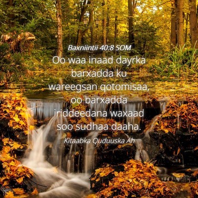 Picture 04 - Baxniintii 40:8 SOM - Oo waa inaad dayrka barxadda ku wareegsan - Bible Verse Picture