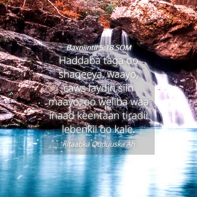 Picture 04 - Baxniintii 5:18 SOM - Haddaba taga oo shaqeeya, waayo, caws laydin siin - Bible Verse Picture