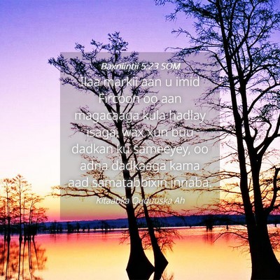 Picture 04 - Baxniintii 5:23 SOM - Ilaa markii aan u imid Fircoon oo aan magacaaga - Bible Verse Picture