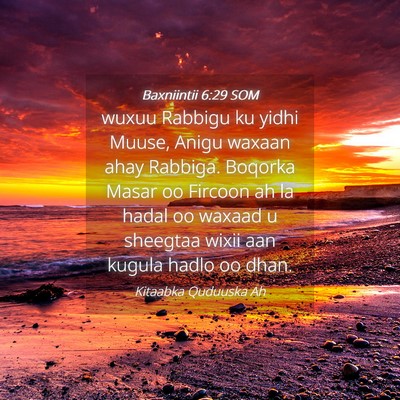 Picture 04 - Baxniintii 6:29 SOM - wuxuu Rabbigu ku yidhi Muuse, Anigu waxaan ahay - Bible Verse Picture