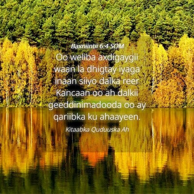 Picture 04 - Baxniintii 6:4 SOM - Oo weliba axdigaygii waan la dhigtay iyaga inaan - Bible Verse Picture