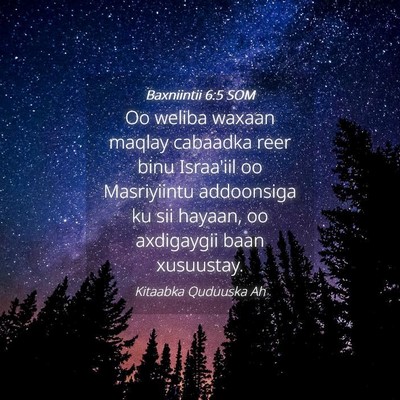 Picture 04 - Baxniintii 6:5 SOM - Oo weliba waxaan maqlay cabaadka reer binu - Bible Verse Picture