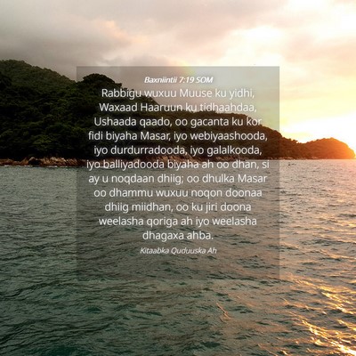 Picture 04 - Baxniintii 7:19 SOM - Rabbigu wuxuu Muuse ku yidhi, Waxaad Haaruun ku - Bible Verse Picture