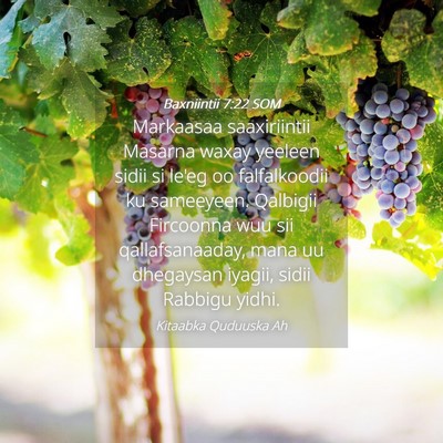 Picture 04 - Baxniintii 7:22 SOM - Markaasaa saaxiriintii Masarna waxay yeeleen - Bible Verse Picture