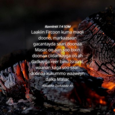 Picture 04 - Baxniintii 7:4 SOM - Laakiin Fircoon kuma maqli doono, markaasaan - Bible Verse Picture