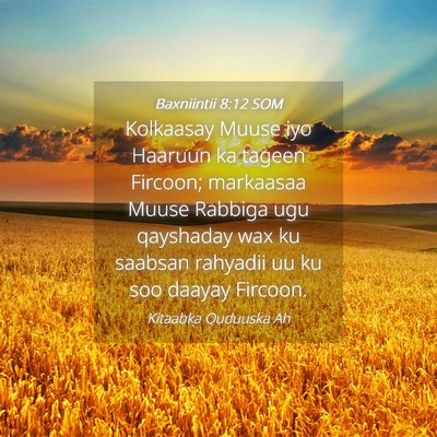 Picture 04 - Baxniintii 8:12 SOM - Kolkaasay Muuse iyo Haaruun ka tageen Fircoon; - Bible Verse Picture
