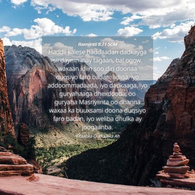 Picture 04 - Baxniintii 8:21 SOM - Haddii kalese haddaadan dadkayga sii daynin inay - Bible Verse Picture