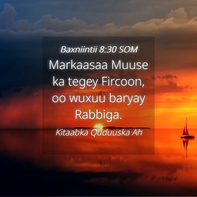 Picture 04 - Baxniintii 8:30 SOM - Markaasaa Muuse ka tegey Fircoon, oo wuxuu baryay - Bible Verse Picture
