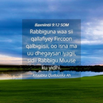 Picture 04 - Baxniintii 9:12 SOM - Rabbiguna waa sii qallafiyey Fircoon qalbigiisii, - Bible Verse Picture