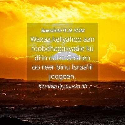 Picture 04 - Baxniintii 9:26 SOM - Waxaa keliyahoo aan roobdhagaxyaale ku di'in - Bible Verse Picture