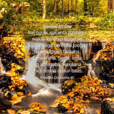 Picture 04 - Baxniintii 9:3 SOM - bal ogow, gacanta Rabbigu waxay ku dhici doontaa - Bible Verse Picture