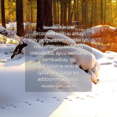 Picture 04 - Baxniintii 9:34 SOM - Fircoonna kolkuu arkay inay joogsadeen roobkii - Bible Verse Picture