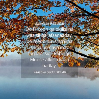 Picture 04 - Baxniintii 9:35 SOM - Oo Fircoon qalbigiisiina waa sii qallafsanaaday, - Bible Verse Picture