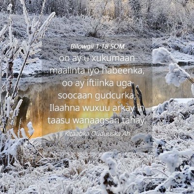 Picture 04 - Bilowgii 1:18 SOM - oo ay u xukumaan maalinta iyo habeenka, oo ay - Bible Verse Picture