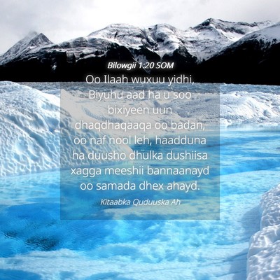 Picture 04 - Bilowgii 1:20 SOM - Oo Ilaah wuxuu yidhi, Biyuhu aad ha u soo - Bible Verse Picture