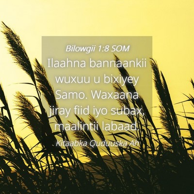 Picture 04 - Bilowgii 1:8 SOM - Ilaahna bannaankii wuxuu u bixiyey Samo. Waxaana - Bible Verse Picture