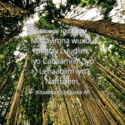 Picture 04 - Bilowgii 10:13 SOM - Misrayimna wuxuu dhalay Luudiim, iyo Canaamiim, - Bible Verse Picture