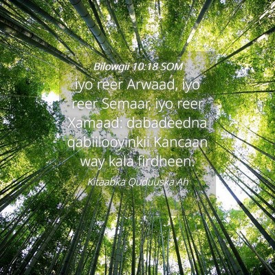 Picture 04 - Bilowgii 10:18 SOM - iyo reer Arwaad, iyo reer Semaar, iyo reer - Bible Verse Picture