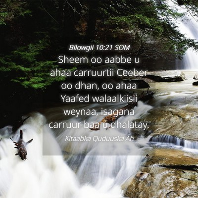 Picture 04 - Bilowgii 10:21 SOM - Sheem oo aabbe u ahaa carruurtii Ceeber oo dhan, - Bible Verse Picture