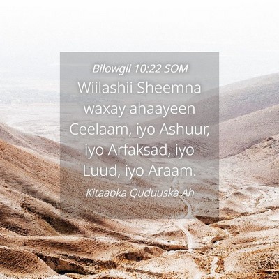 Picture 04 - Bilowgii 10:22 SOM - Wiilashii Sheemna waxay ahaayeen Ceelaam, iyo - Bible Verse Picture