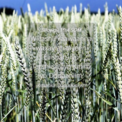 Picture 04 - Bilowgii 10:4 SOM - Wiilashii Yaawaanna waxay ahaayeen Eliishah, iyo - Bible Verse Picture