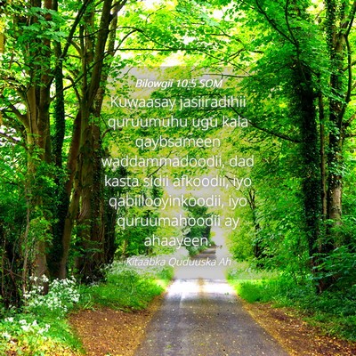 Picture 04 - Bilowgii 10:5 SOM - Kuwaasay jasiiradihii quruumuhu ugu kala - Bible Verse Picture