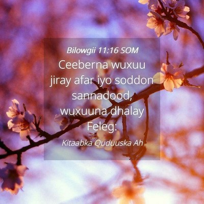 Picture 04 - Bilowgii 11:16 SOM - Ceeberna wuxuu jiray afar iyo soddon sannadood, - Bible Verse Picture