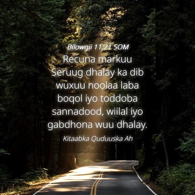 Picture 04 - Bilowgii 11:21 SOM - Recuna markuu Seruug dhalay ka dib wuxuu noolaa - Bible Verse Picture