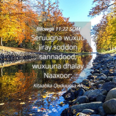 Picture 04 - Bilowgii 11:22 SOM - Seruugna wuxuu jiray soddon sannadood, wuxuuna - Bible Verse Picture