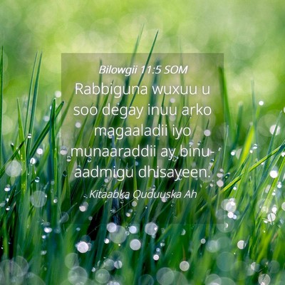 Picture 04 - Bilowgii 11:5 SOM - Rabbiguna wuxuu u soo degay inuu arko magaaladii - Bible Verse Picture