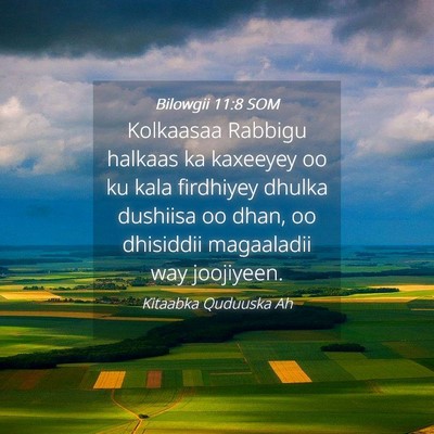 Picture 04 - Bilowgii 11:8 SOM - Kolkaasaa Rabbigu halkaas ka kaxeeyey oo ku kala - Bible Verse Picture