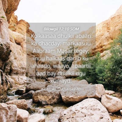 Picture 04 - Bilowgii 12:10 SOM - Kolkaasaa dhulkii abaari ka dhacday: markaasuu - Bible Verse Picture