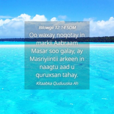 Picture 04 - Bilowgii 12:14 SOM - Oo waxay noqotay in markii Aabraam Masar soo - Bible Verse Picture