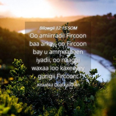 Picture 04 - Bilowgii 12:15 SOM - Oo amiirradii Fircoon baa arkay, oo Fircoon bay u - Bible Verse Picture