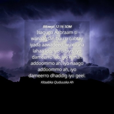Picture 04 - Bilowgii 12:16 SOM - Isaguna Aabraam si wanaagsan buu u qabtay iyada - Bible Verse Picture