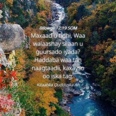 Picture 04 - Bilowgii 12:19 SOM - Maxaad u tidhi, Waa walaashay si aan u guursado - Bible Verse Picture