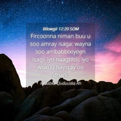 Picture 04 - Bilowgii 12:20 SOM - Fircoonna niman buu u soo amray isaga: wayna soo - Bible Verse Picture