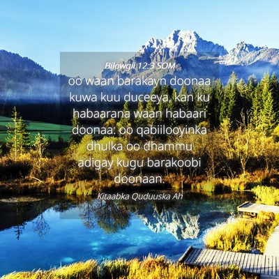 Picture 04 - Bilowgii 12:3 SOM - oo waan barakayn doonaa kuwa kuu duceeya, kan ku - Bible Verse Picture