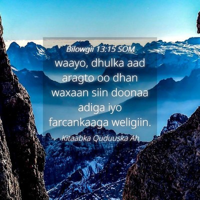 Picture 04 - Bilowgii 13:15 SOM - waayo, dhulka aad aragto oo dhan waxaan siin - Bible Verse Picture