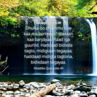 Picture 04 - Bilowgii 13:9 SOM - Dhulka oo dhammu sow kaa ma horreeyo? Waxaan kaa - Bible Verse Picture