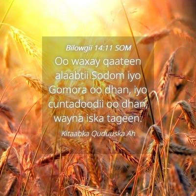 Picture 04 - Bilowgii 14:11 SOM - Oo waxay qaateen alaabtii Sodom iyo Gomora oo - Bible Verse Picture