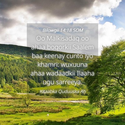 Picture 04 - Bilowgii 14:18 SOM - Oo Malkisadaq oo ahaa boqorkii Saalem baa keenay - Bible Verse Picture